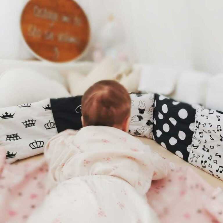 harmonika-naslovna harmonika-naslovna