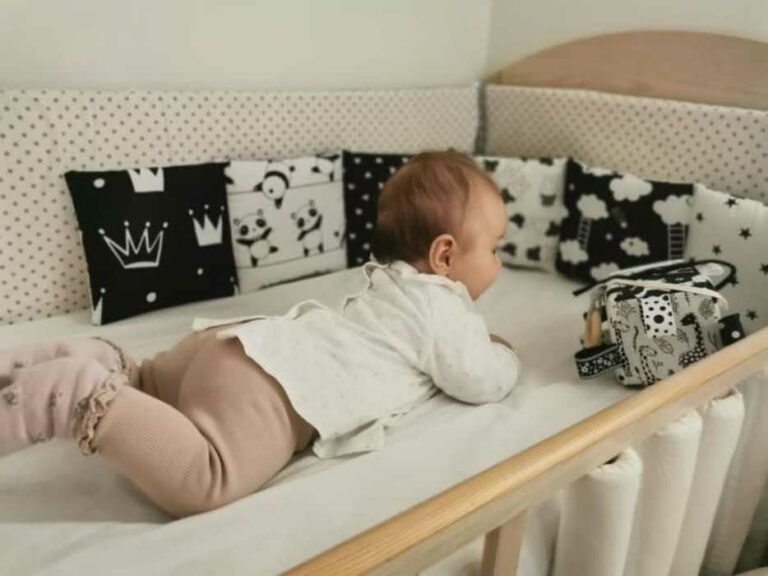 harmonika6 harmonika6