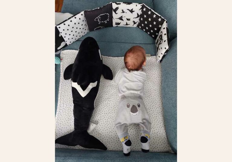 harmonika7 harmonika7